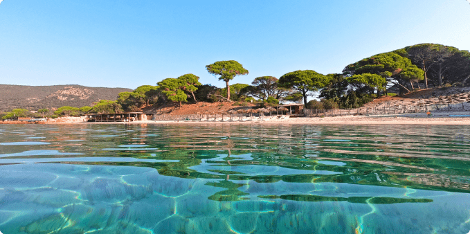 Activités en Corse