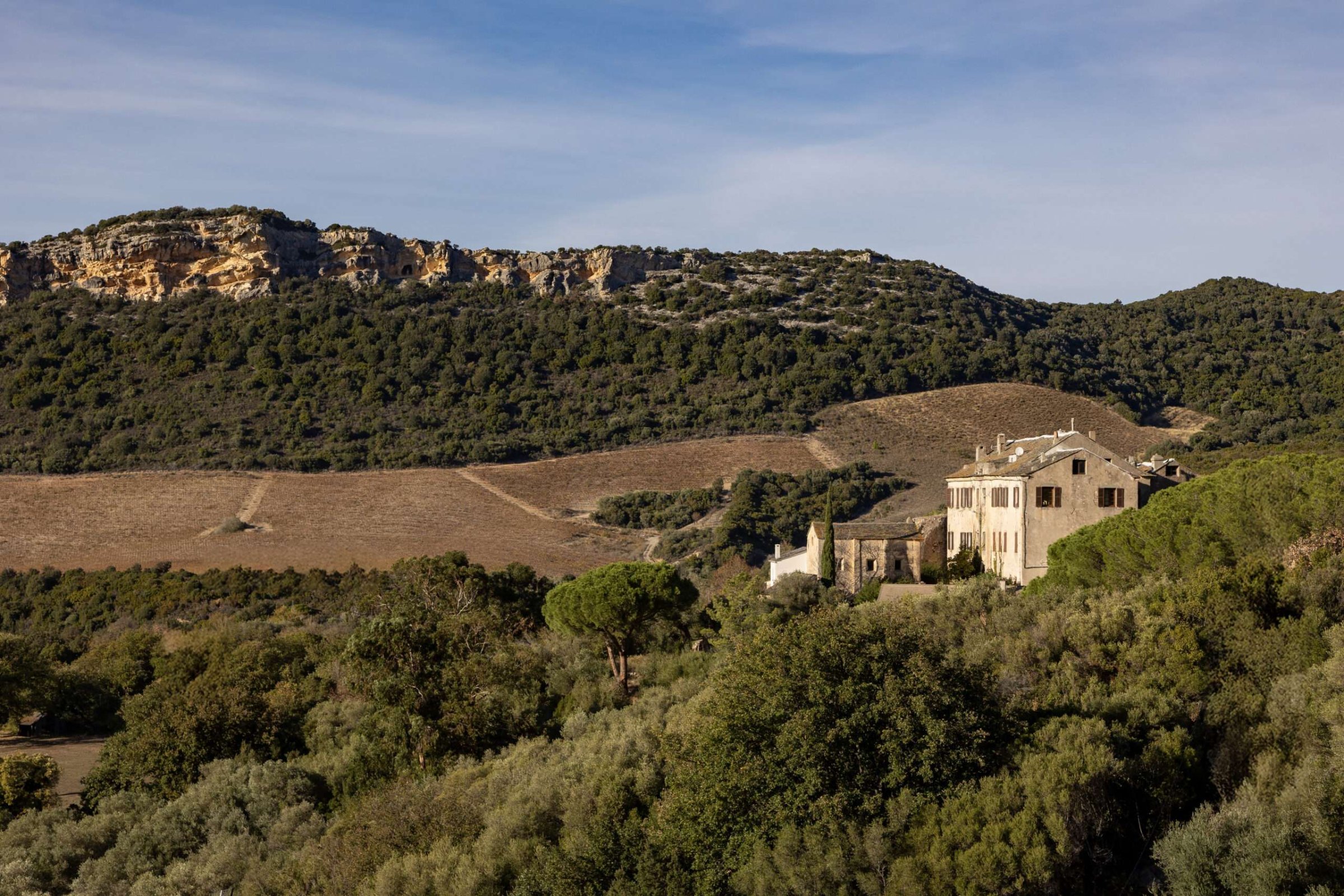 Patrimonio