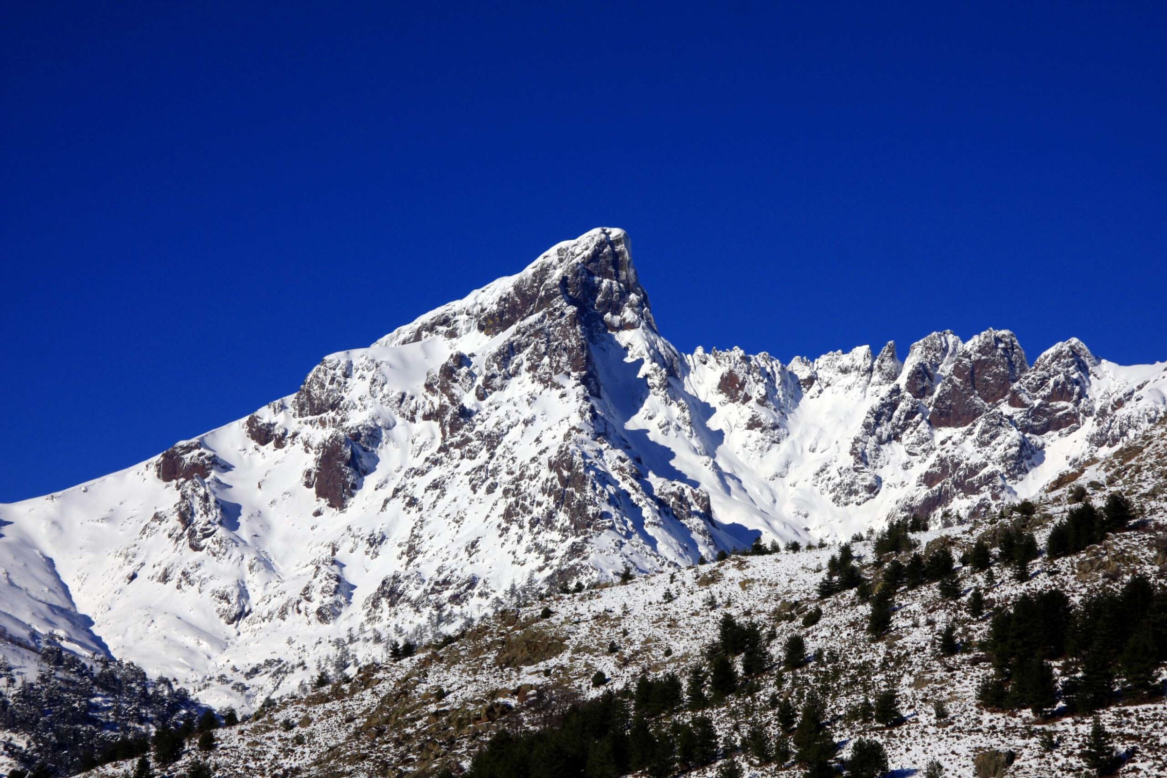 Paglia Orba