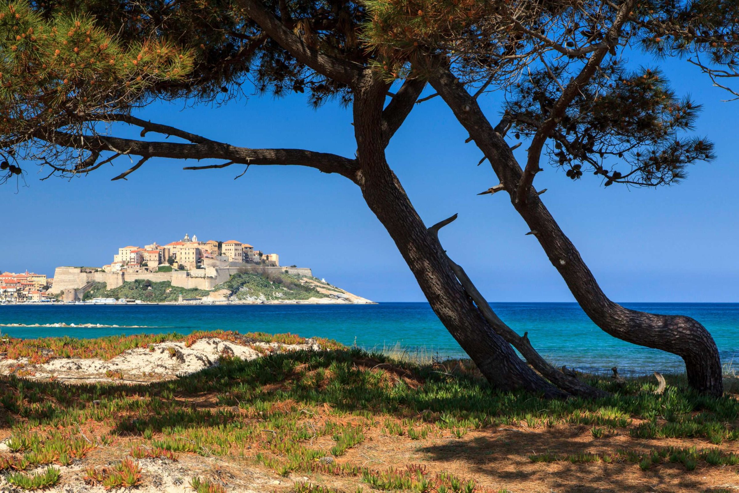 Calvi on the rocks