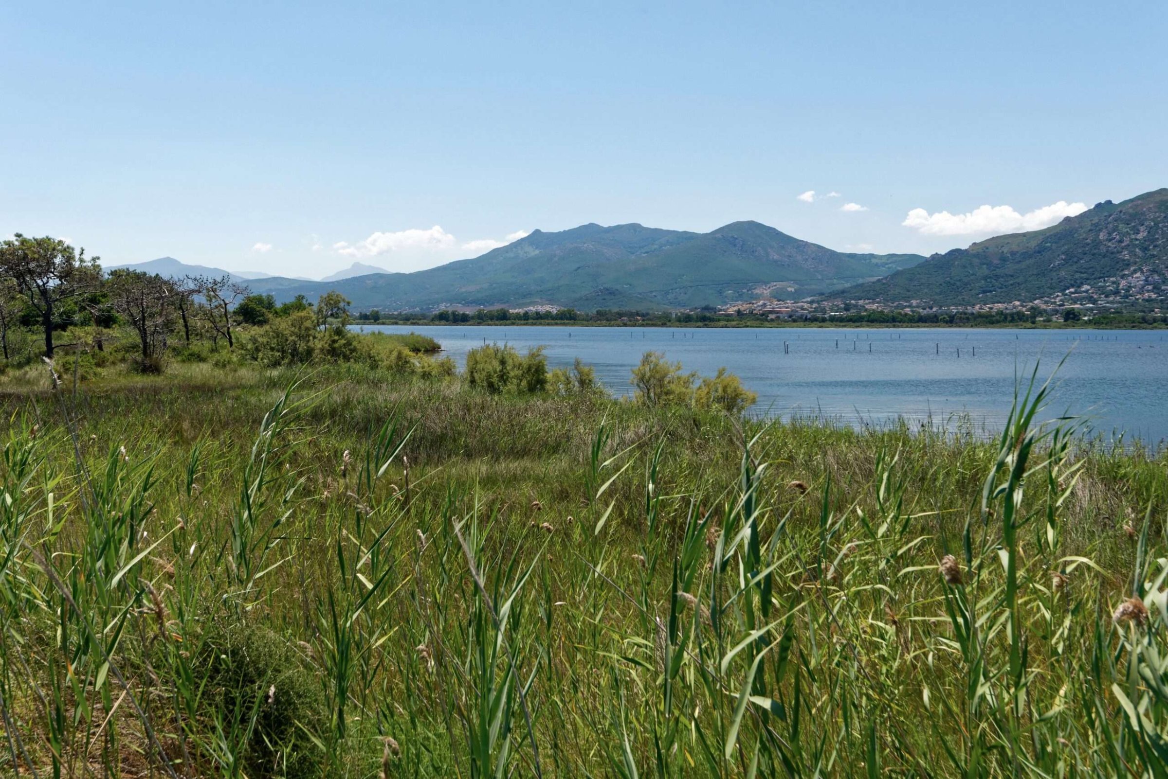 Etang de Biguglia