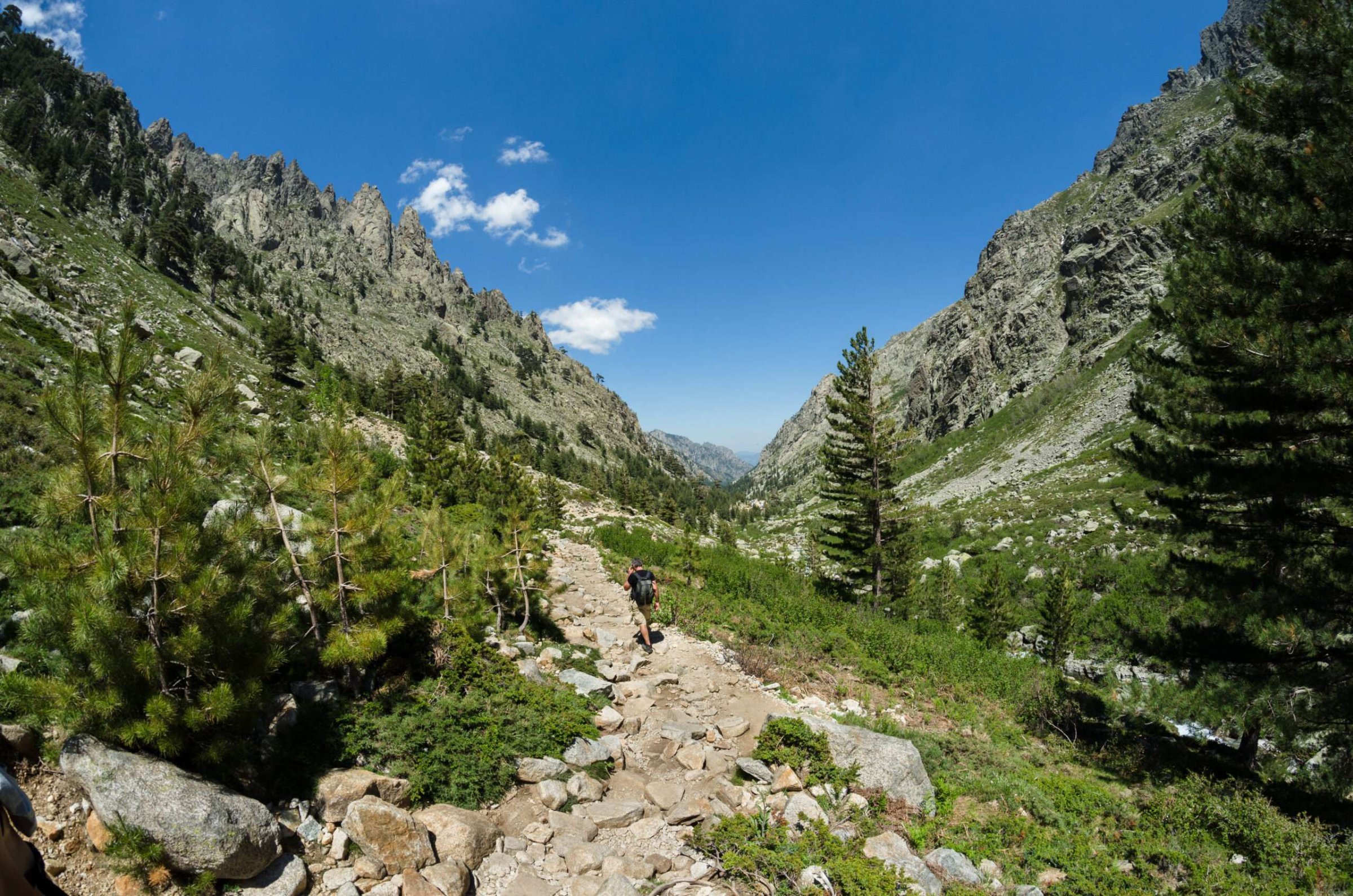 Vallée de la Restonica