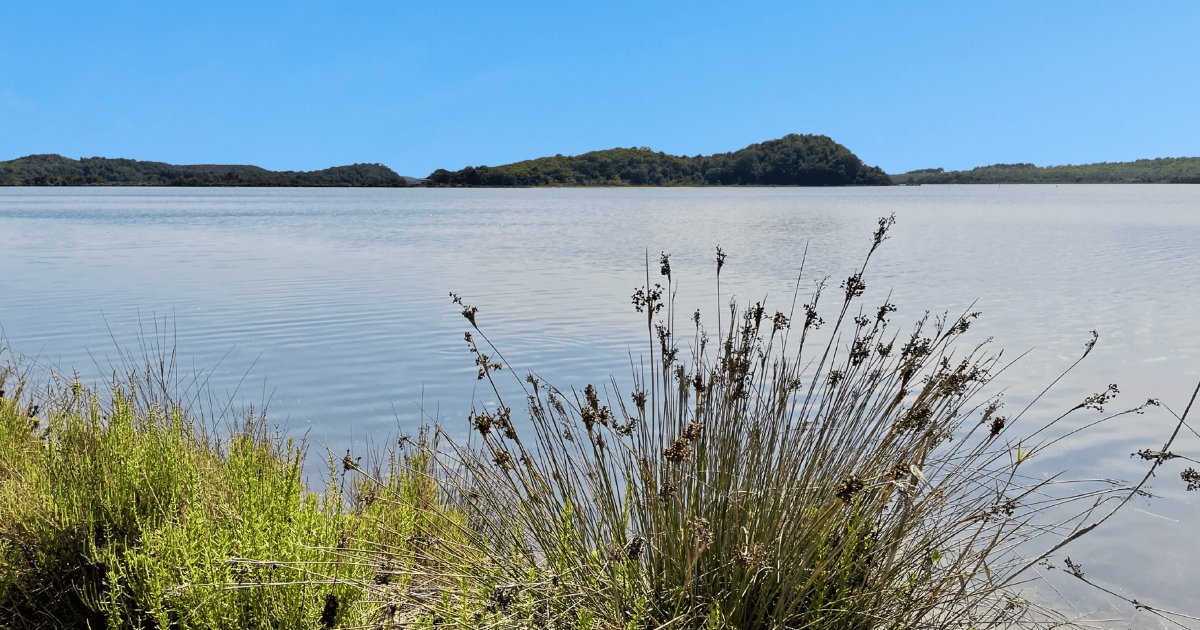 Etang de Diane